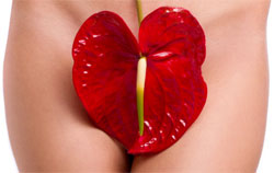 Lelo Alia clitoris stimulator