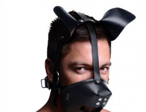 Puppy Play Masker Met Ballgag
