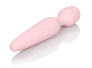 Inspire Wand Vibrator voor beginners CalExotics
