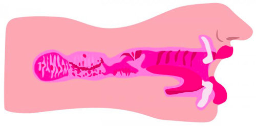 Sarah's Sexy Mouth Masturbator